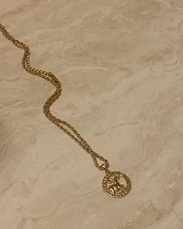 Zodiac Necklace (Rope Chain) - Katherynloche
