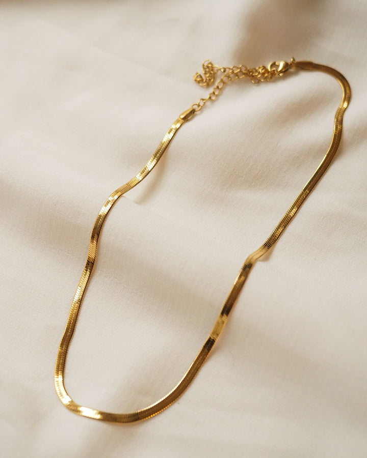 18k gold plated - Snake Chain Choker Necklace (Gold) - Katherynloche