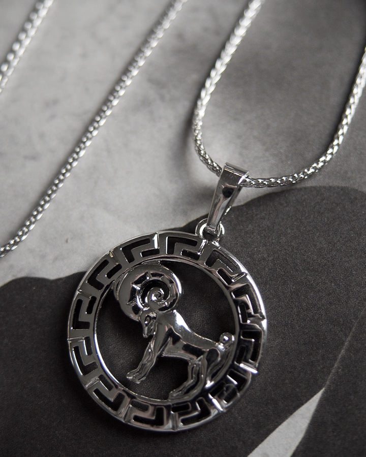 Devine - Zodiac Silver Necklace (Limited Stock) - Katherynloche