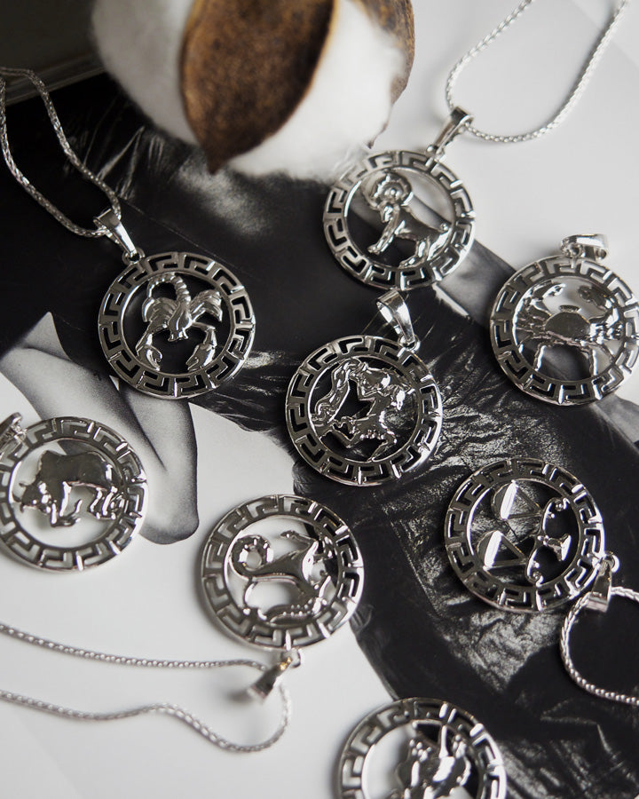 Devine - Zodiac Silver Necklace (Limited Stock) - Katherynloche