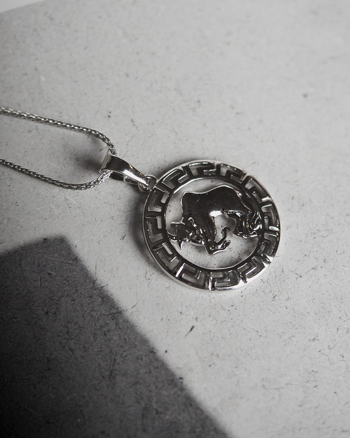 Devine - Zodiac Silver Necklace (Limited Stock) - Katherynloche