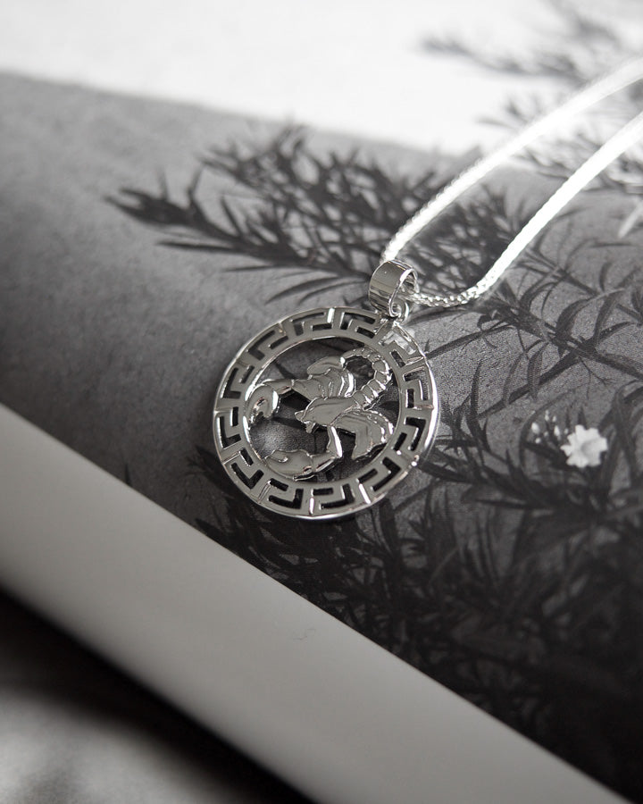 Devine - Zodiac Silver Necklace (Limited Stock) - Katherynloche